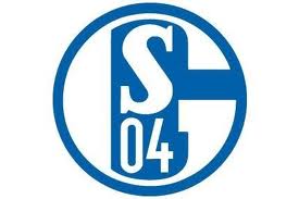 Transferuri Schalke04 Germania Bundesliga 2012-2013