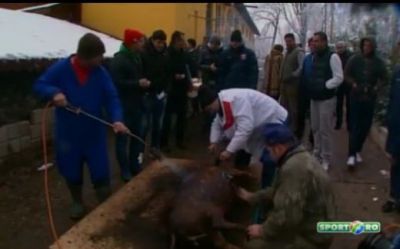 Petrecere de campioni