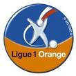 Franta Ligue 1 - editia 2008-2009
