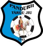 Transferuri Liga 1 2010 Pandurii Targu Jiu