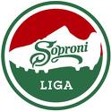 Campionatul Ungariei in 2010 aminat cu o saptamina