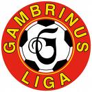 Avancronica Cehia - Gambrinus Liga, etapa 19
