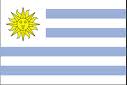 Avancronica CM 2010 Uruguay - Franta  Grupa A