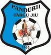 Retrogradata Pandurii Targu Jiu va evolua in sezonul 2010-2011 al Ligii I
