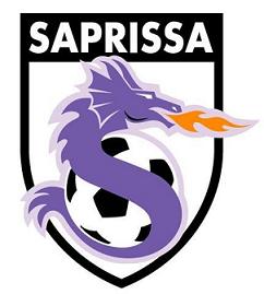 Costa Rica Primera Division 2011 - Fazele Finale