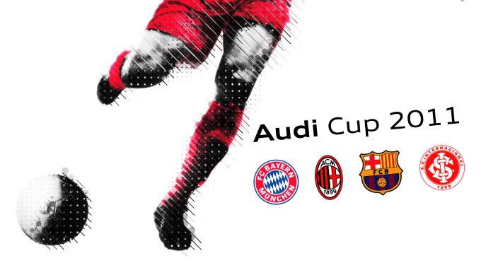 Cupa Audi 2011