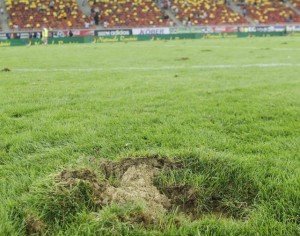 Steaua - Schalke, mutat la Cluj din cauza gazonului