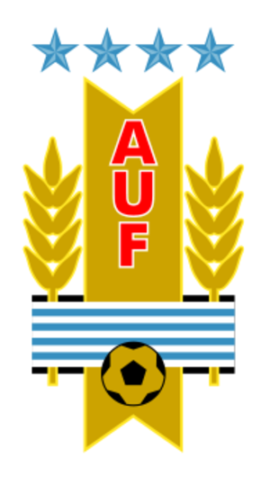 Amical de lux pe National Arena