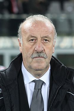 Lotul final al Spaniei pentru EURO 2012
