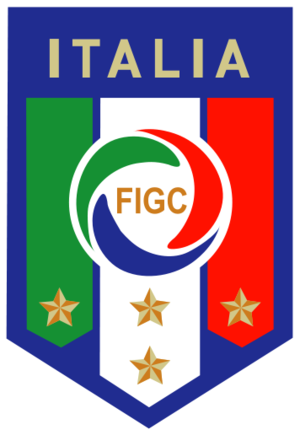 Italia - Irlanda avancronica EURO 2012 grupa C