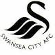 Transferuri Swansea vara 2012 Anglia Premier League 2012-2013
