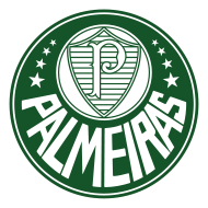 8 suporteri ai echipei Palmeiras asasinati