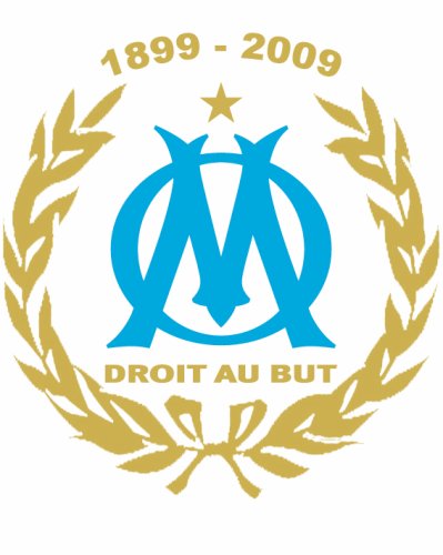 Transferuri Marseille Franta Ligue 1 2012-2013 
