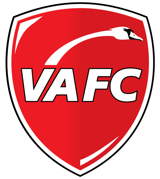 Transferuri Valenciennes Franta Ligue 1 2012-2013 