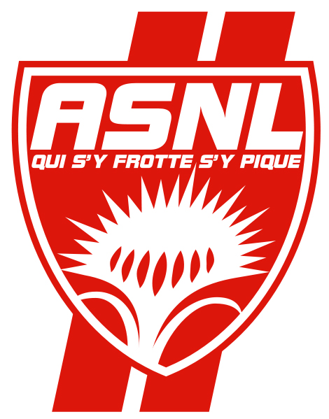 Transferuri Nancy Franta Ligue 1 2012-2013 