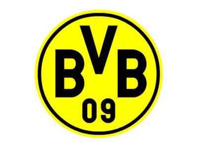 Transferuri Dortmund Germania Bundesliga 2012-2013 