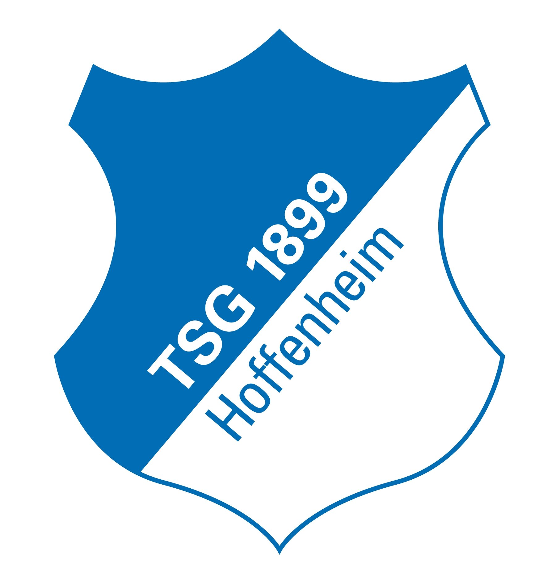 Transferuri Hoffenheim Germania Bundesliga 2012-2013