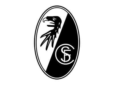 Transferuri Freiburg Germania Bundesliga 2012-2013