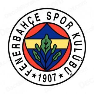 Europa League: FC Vaslui - Fenerbahce 1-4