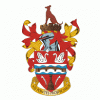 STAINES  TOWN FC 
